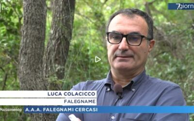 Il Presidente Sezione Unital Luca Colacicco a Rai Parlamento