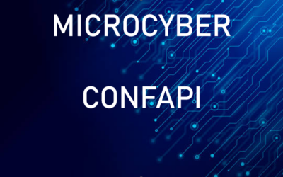 PROGETTO MICROCYBER