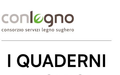 Pallet: Linee guida su prevenzione incendi e approvvigionamento pallet usati