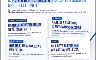 Progetto CONFAPI USA